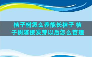 桔子树怎么养能长桔子 桔子树嫁接发芽以后怎么管理